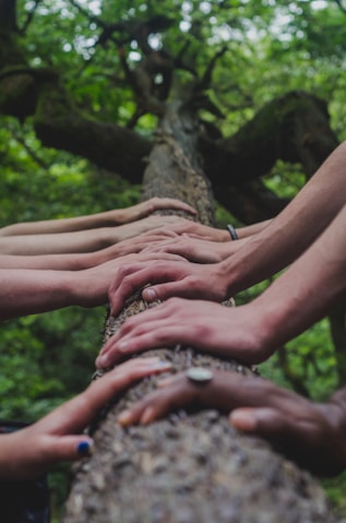 Groupe partageant un moment de connexion en pleine nature lors d’une expérience collective
