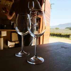 Deux verres de vin vides posés sur un comptoir en bois avec, en arrière-plan, la silhouette d'un vigneron et une vue sur les vignobles et les montagnes.